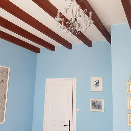 Les Cygnes Noirs オジャック