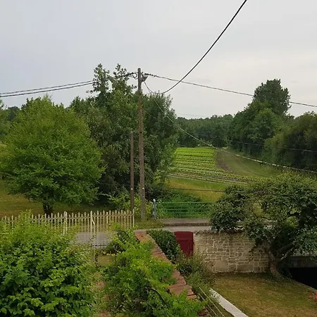 Les Cygnes Noirs ベッド・アンド・ブレックファスト 4*