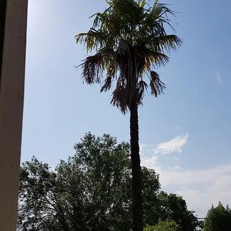 Les Cygnes Noirs ベッド・アンド・ブレックファスト