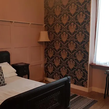 Les Cygnes Noirs オジャック