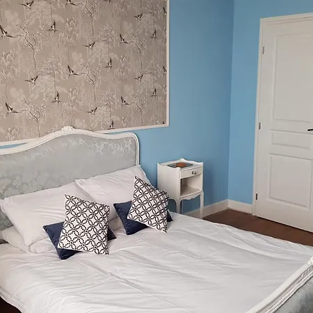 Les Cygnes Noirs オジャック