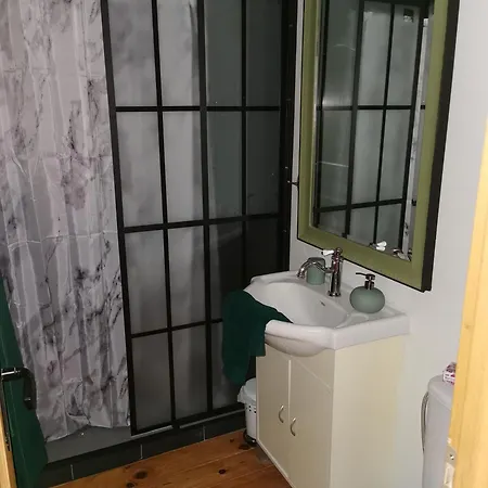 Les Cygnes Noirs オジャック