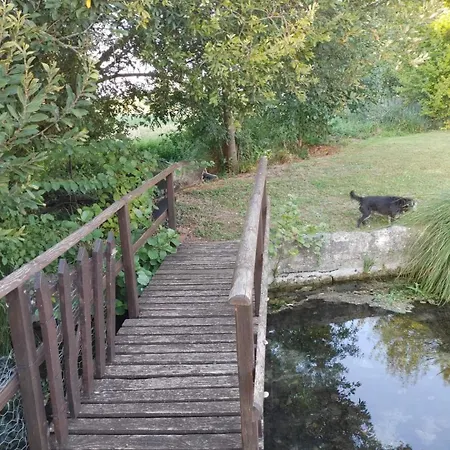 Les Cygnes Noirs 4* Aujac (Charente-Maritime)