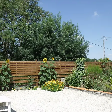 Les Cygnes Noirs Aujac (Charente-Maritime)