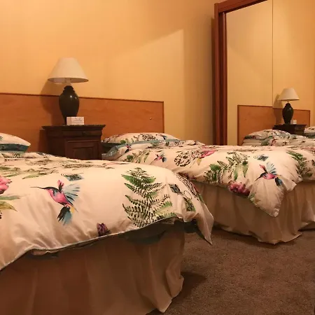 Les Cygnes Noirs Aujac (Charente-Maritime)