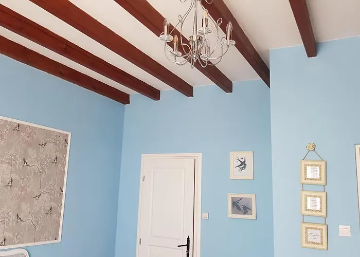 Les Cygnes Noirs Aujac (Charente-Maritime)