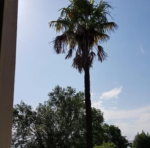 Les Cygnes Noirs Bed and Breakfast