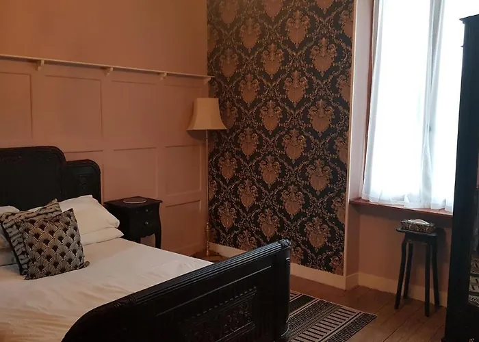 Les Cygnes Noirs Aujac (Charente-Maritime)