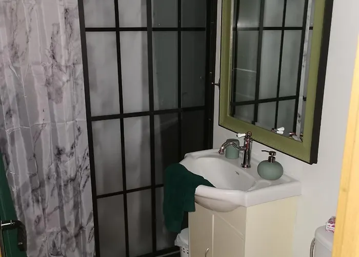 Les Cygnes Noirs Aujac (Charente-Maritime)