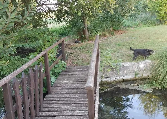 Les Cygnes Noirs 4* Aujac (Charente-Maritime)