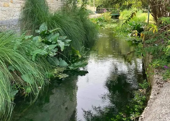 Les Cygnes Noirs Bed and Breakfast