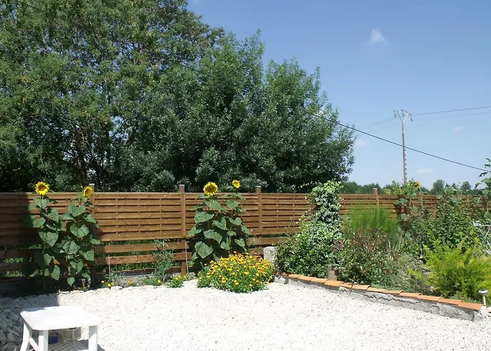 Les Cygnes Noirs Aujac (Charente-Maritime)