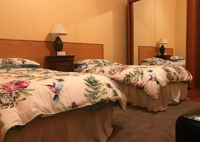 Les Cygnes Noirs Aujac (Charente-Maritime)