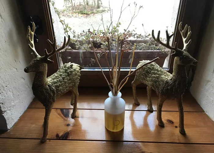 Les Cygnes Noirs Aujac (Charente-Maritime)